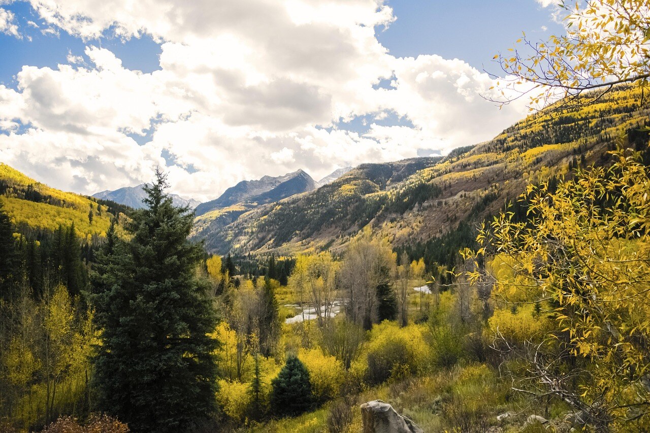 Autumn color in a Rocky Mountain garden