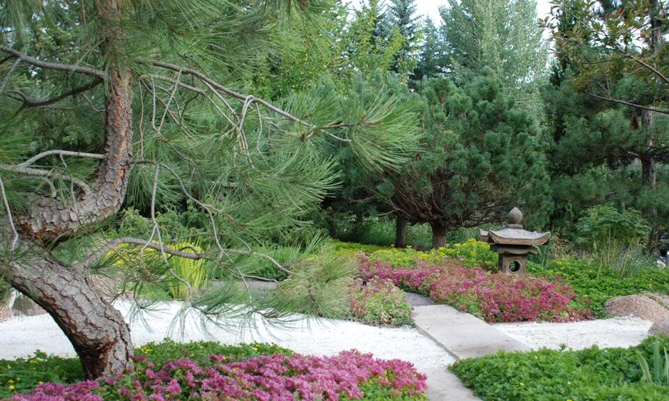Tranquillity Corner: A Japanesque garden