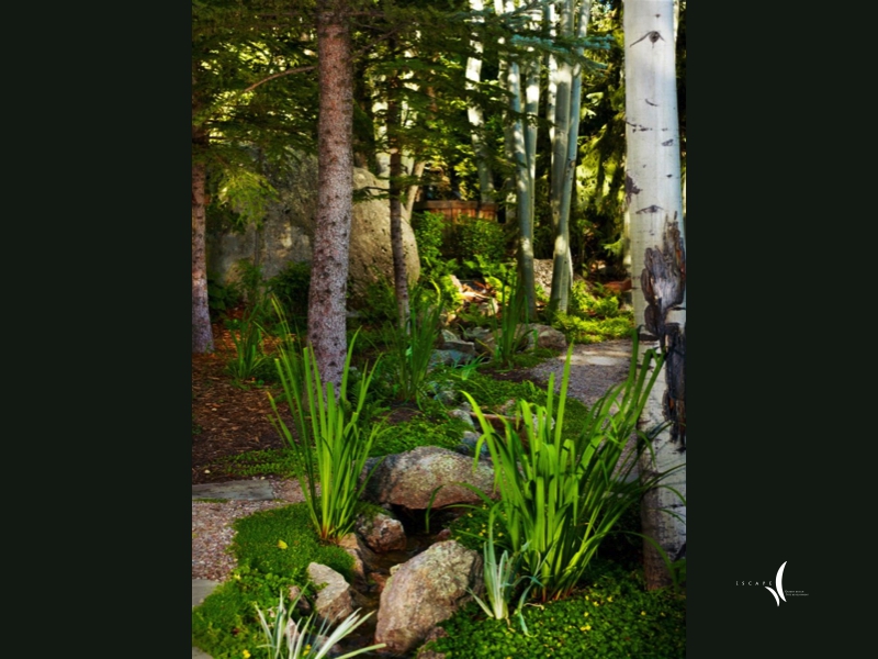 A lush Colorado mountain garden in summer