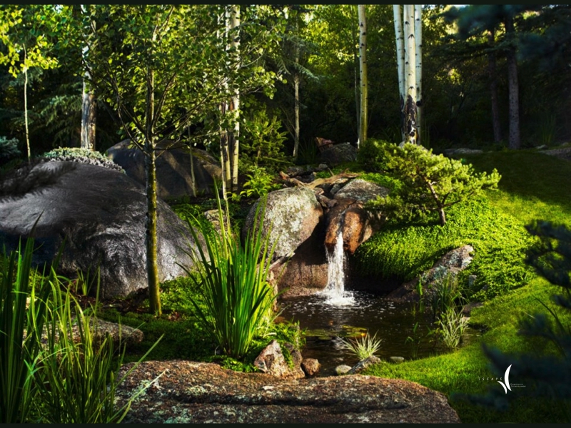 A lush Colorado mountain garden in summer
