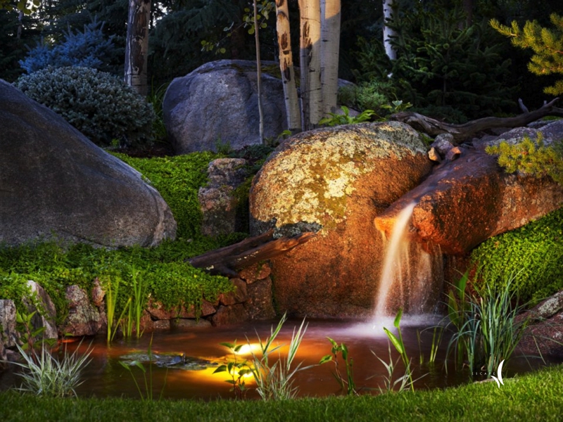 A lush Colorado mountain garden in summer