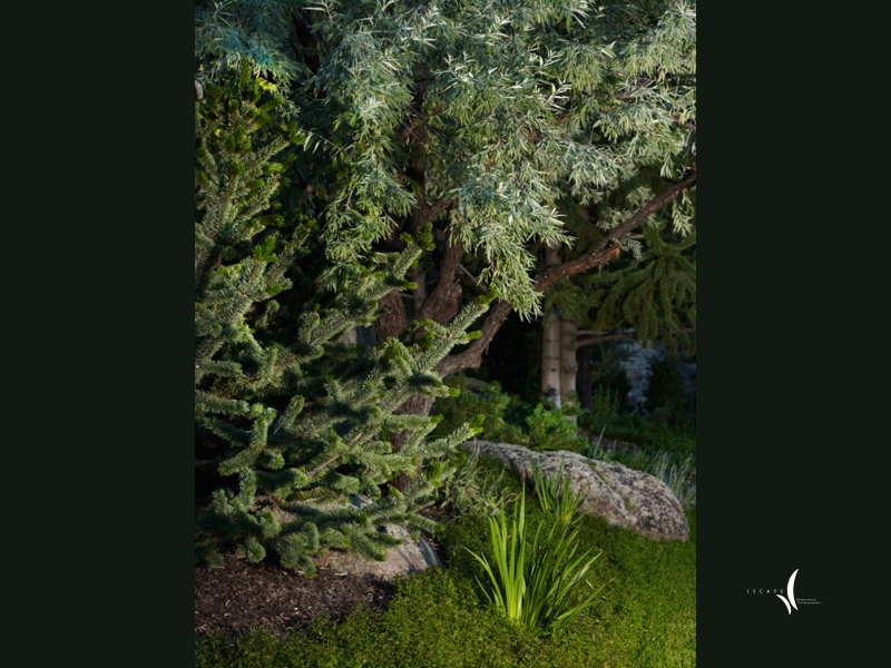 A high-country garden in spring