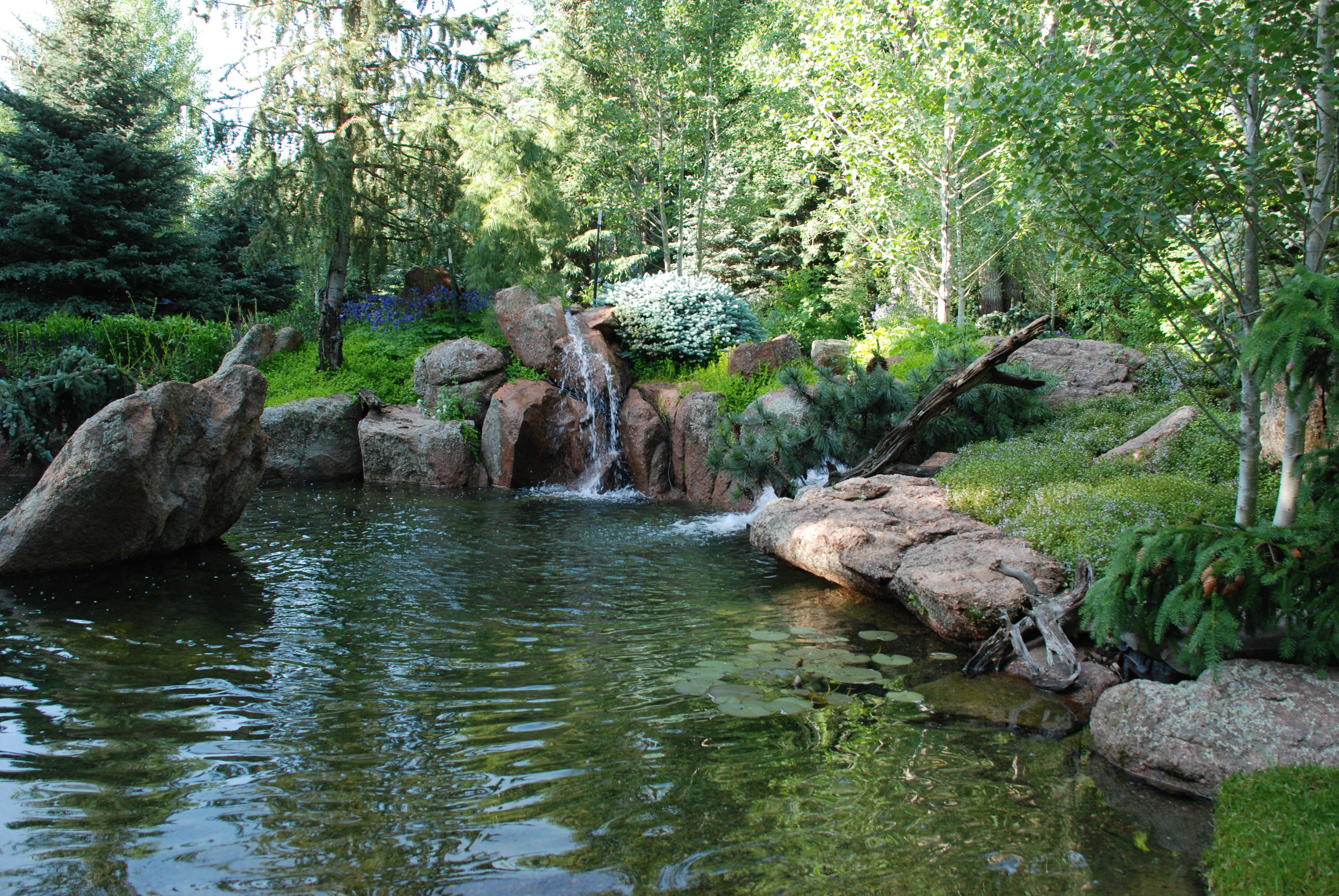 Woodland Pond: A subtle overlay of gardens and water